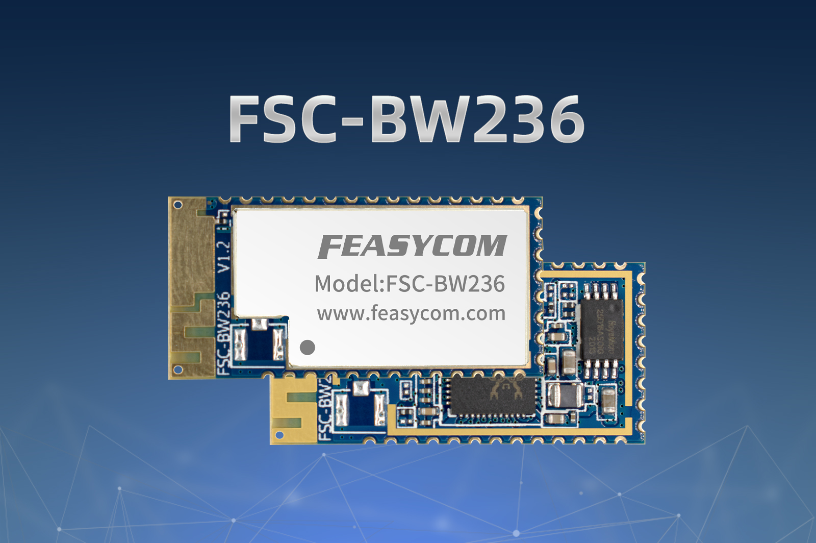 BW236 TCP