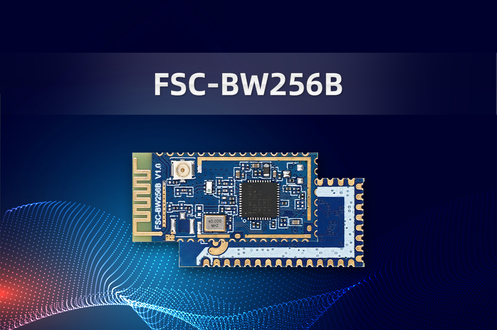 BW256B1